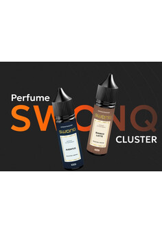 Ароматизатор SWONQ Perfume CLUSTER 15мл